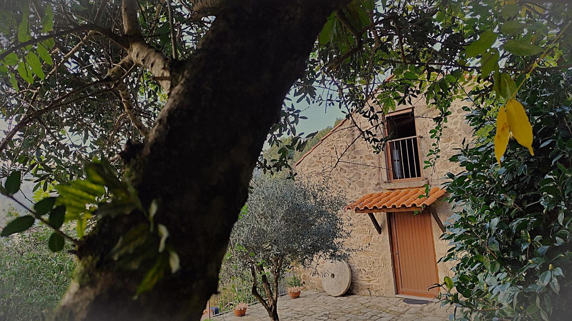 فيلا Quinta Da Costeira سيفر دو فوغا المظهر الخارجي الصورة