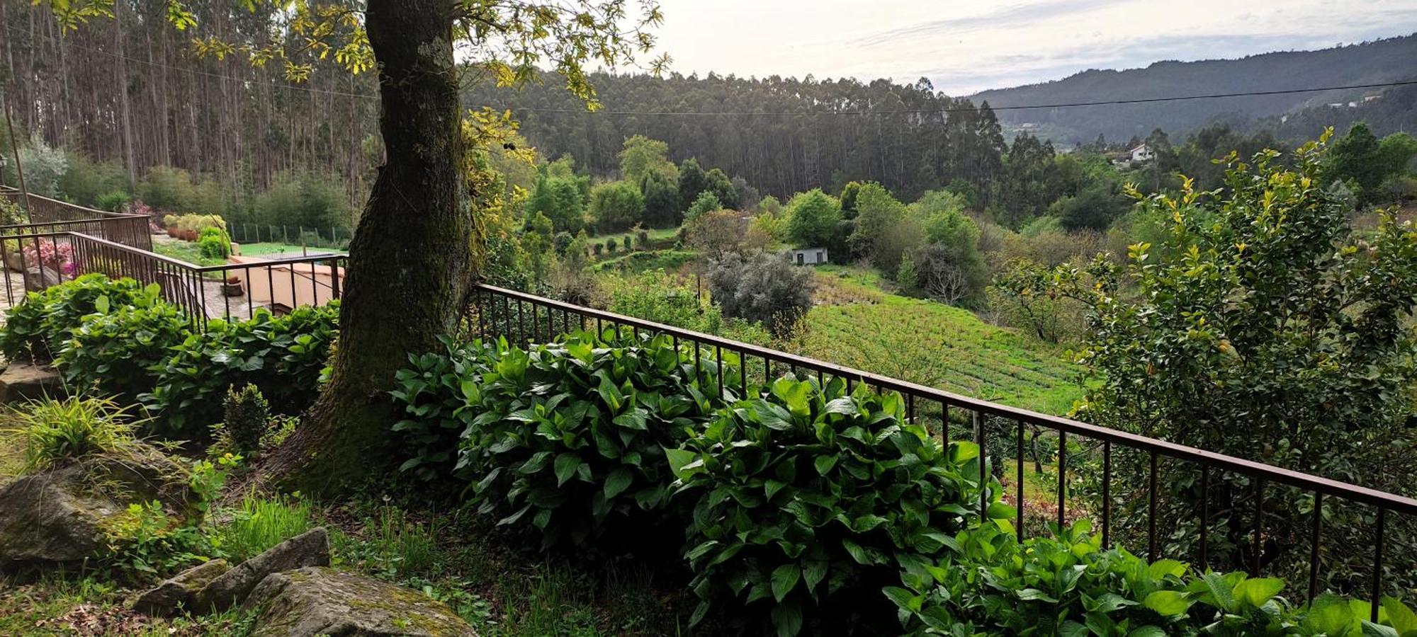 فيلا Quinta Da Costeira سيفر دو فوغا المظهر الخارجي الصورة